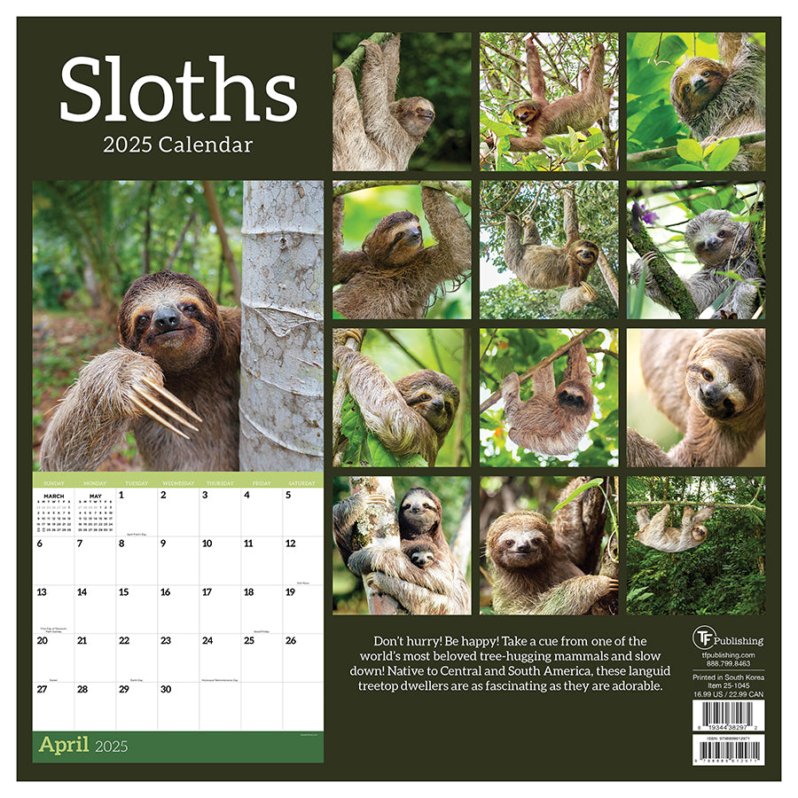 2025 Sloths Wall Calendar TF Publishing Calendars + Planners