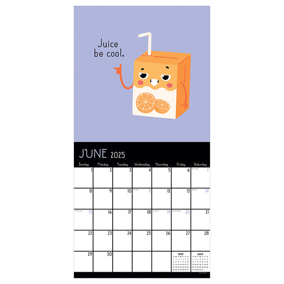 2025 Puns of Fun Wall Calendar TF Publishing Calendars + Planners