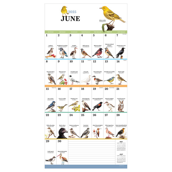 2025 Birds Backyard and Beyond Wall Calendar TF Publishing