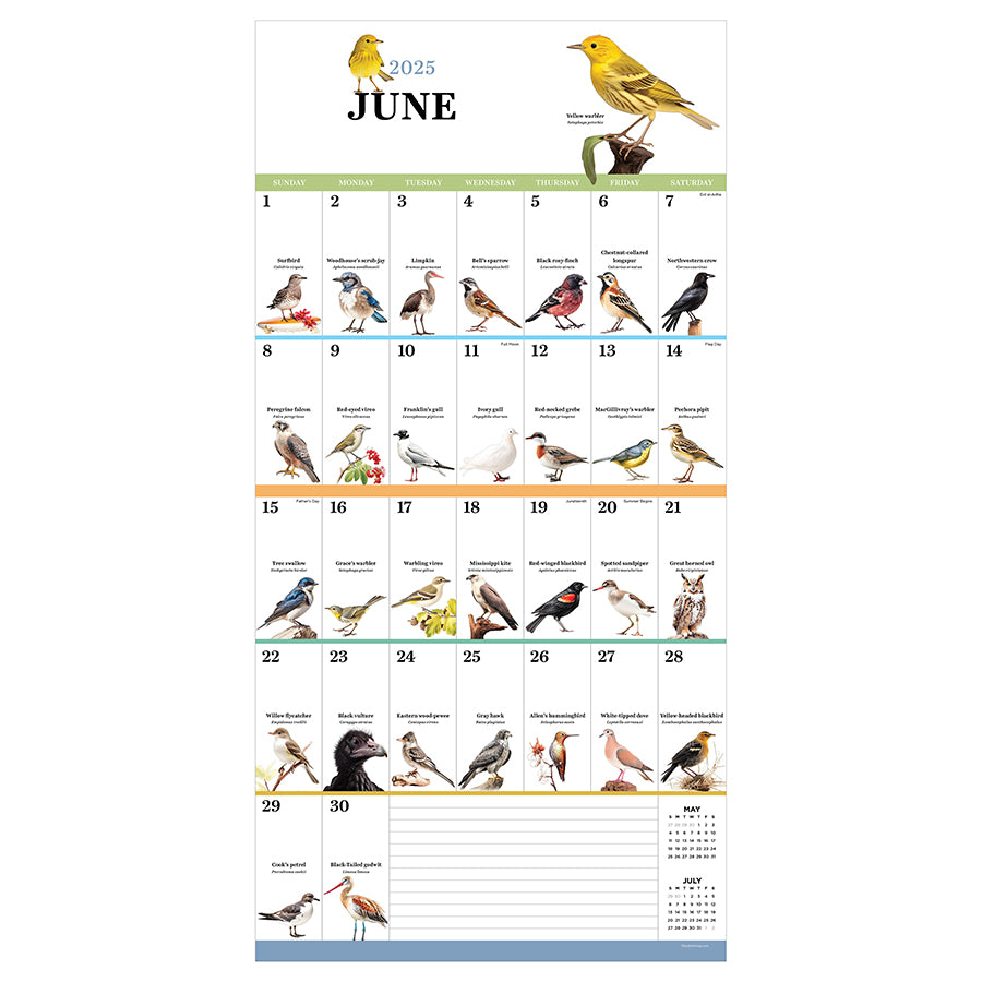 2025 Birds: Backyard and Beyond Wall Calendar - 0