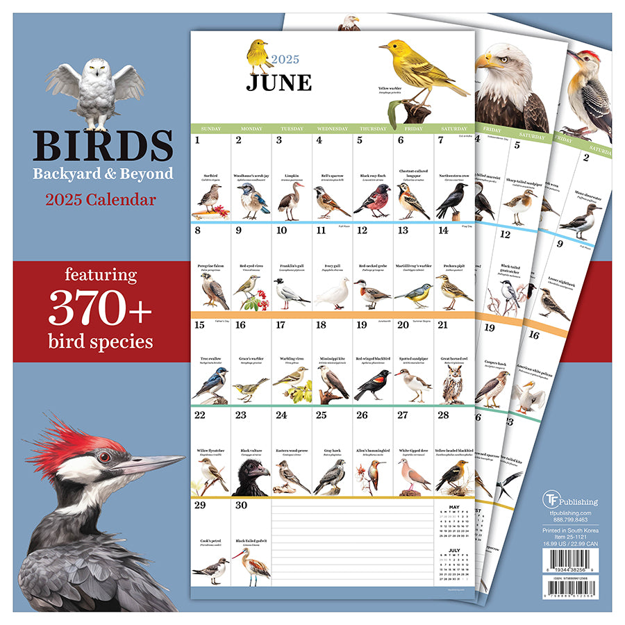 2025 Birds: Backyard and Beyond Wall Calendar