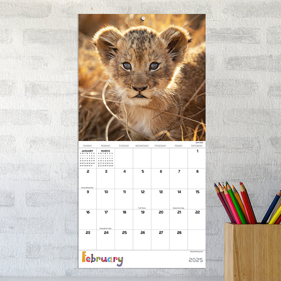 **FINAL SALE** 2025 Baby Animals Mini Calendar