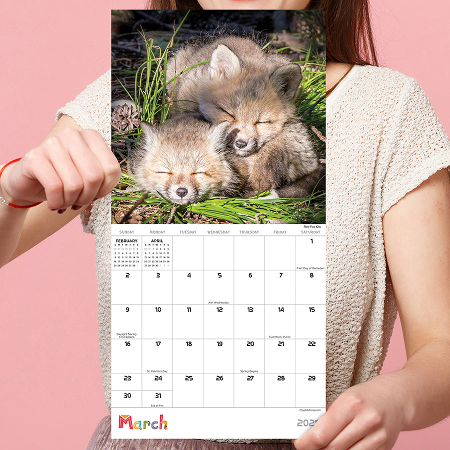 **FINAL SALE** 2025 Baby Animals Mini Calendar