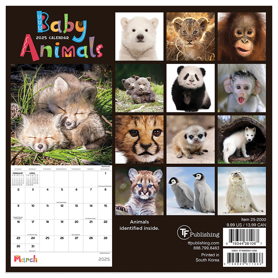 **FINAL SALE** 2025 Baby Animals Mini Calendar