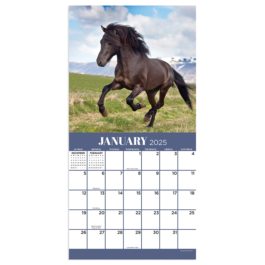 2025 Horses Mini Calendar - 0