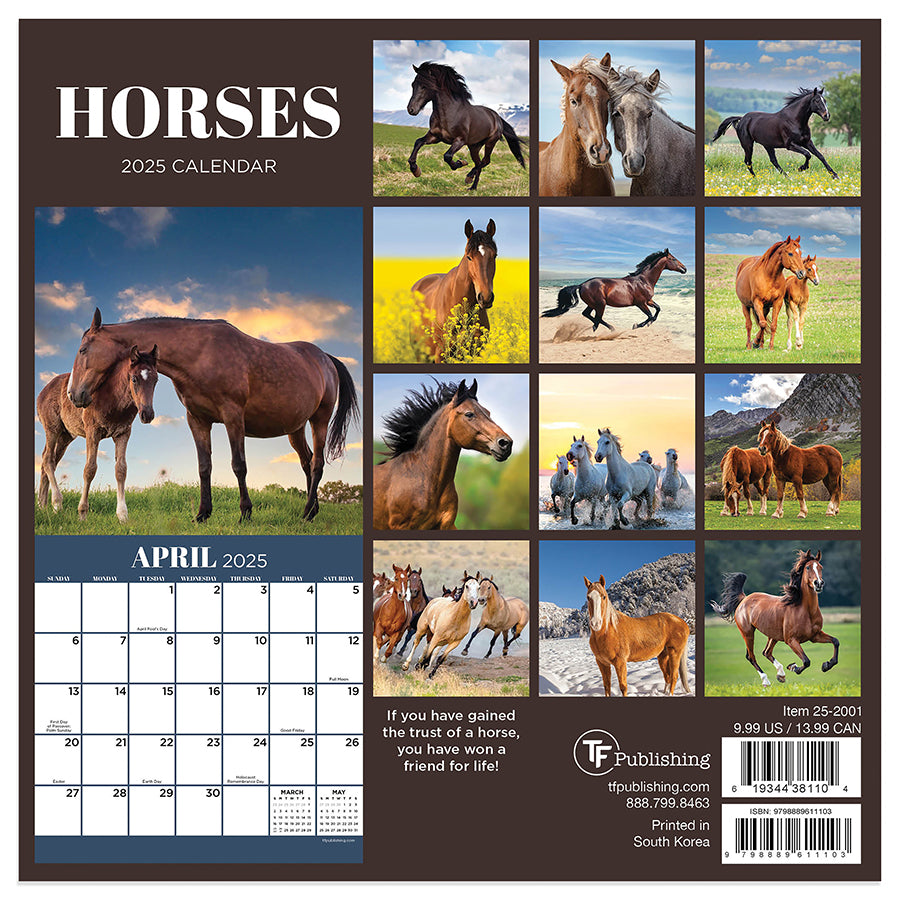 2025 Horses Mini Calendar TF Publishing Calendars + Planners