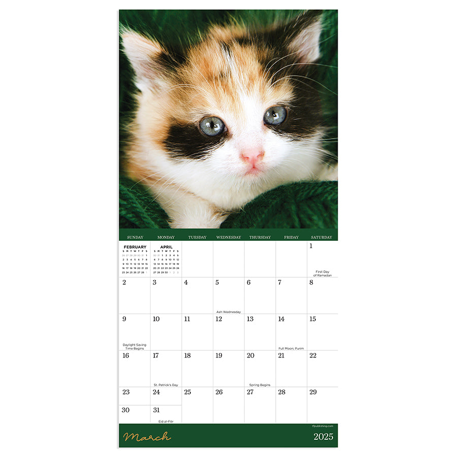 2025 Kittens Mini Calendar - 0