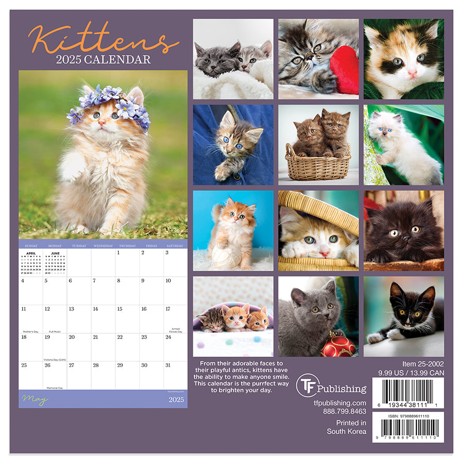 2025 Kittens Mini Calendar | TF Publishing | Calendars + Planners ...