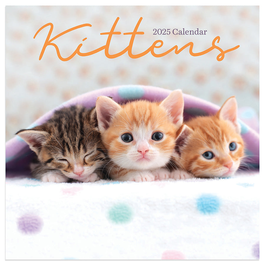 2025 Kittens Mini Calendar