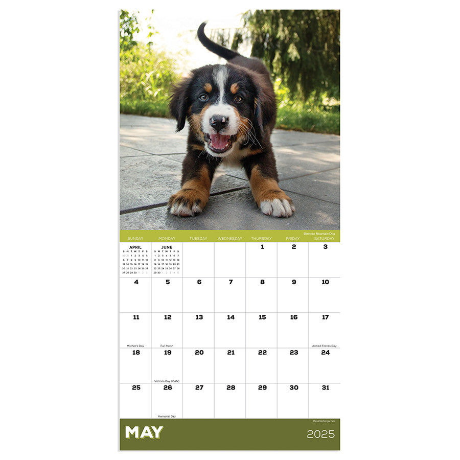 2025 Puppies Mini Calendar - 0