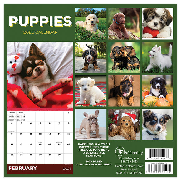 2025 Puppies Mini Calendar | TF Publishing | Calendars + Planners ...