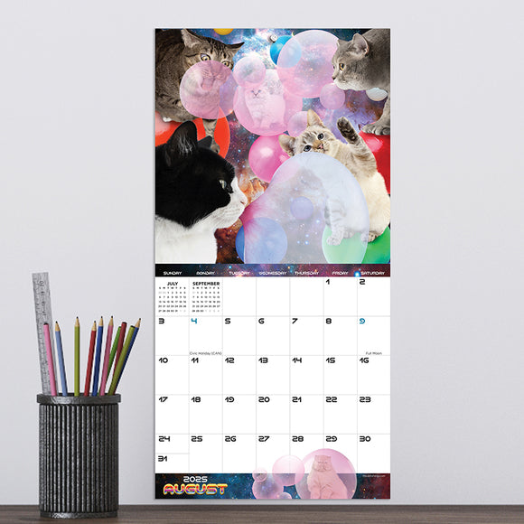 2025 Space Cats Mini Calendar TF Publishing Calendars + Planners