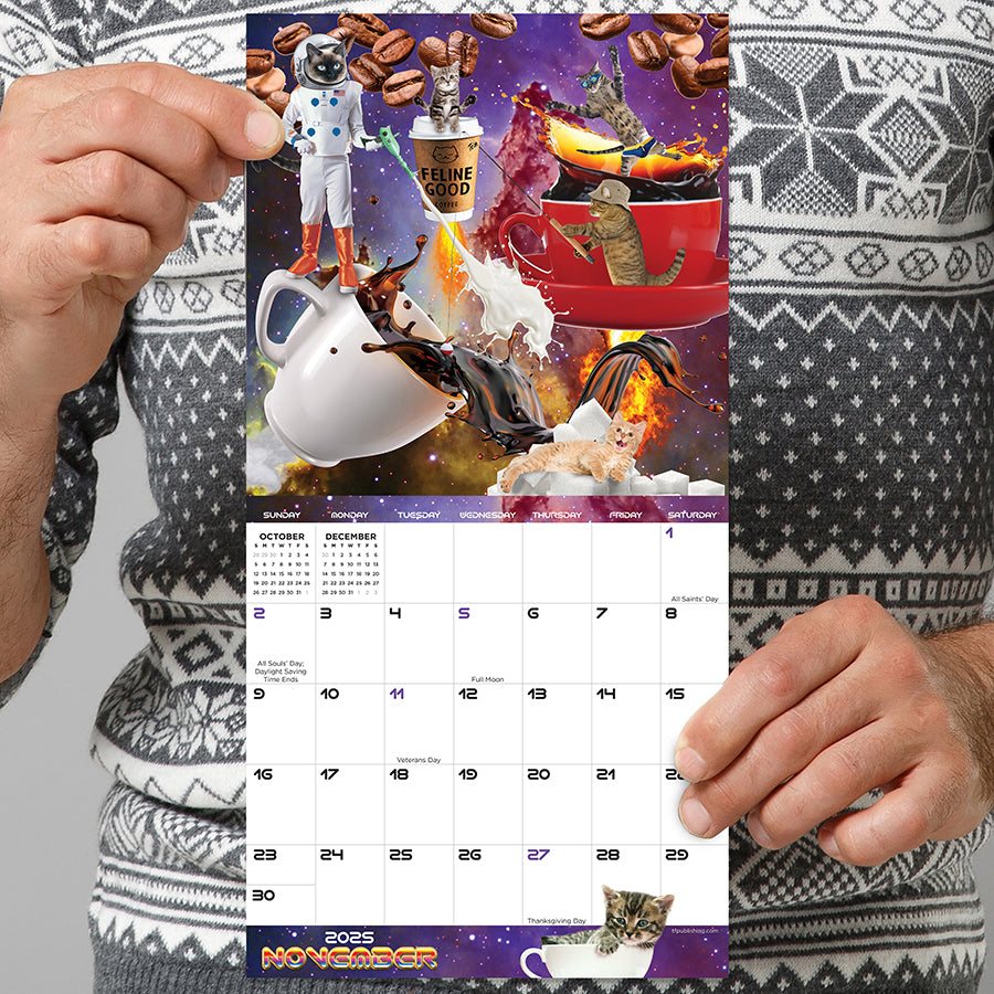 2025 Space Cats Mini Calendar