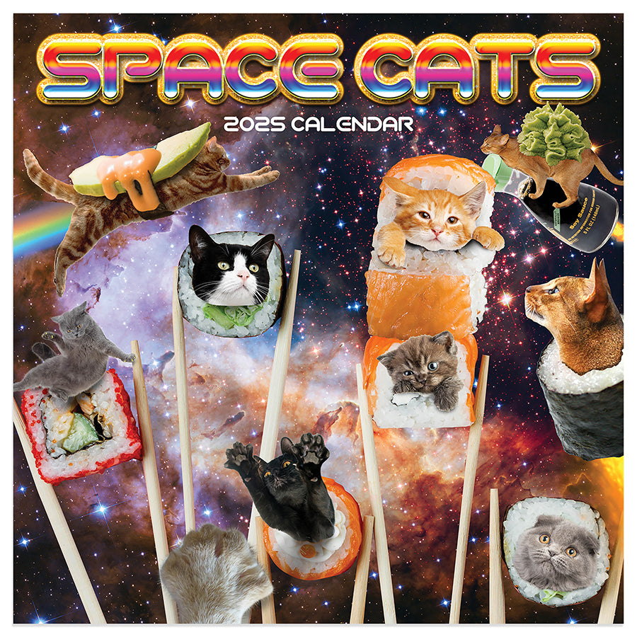 **FINAL SALE** 2025 Space Cats Mini Calendar