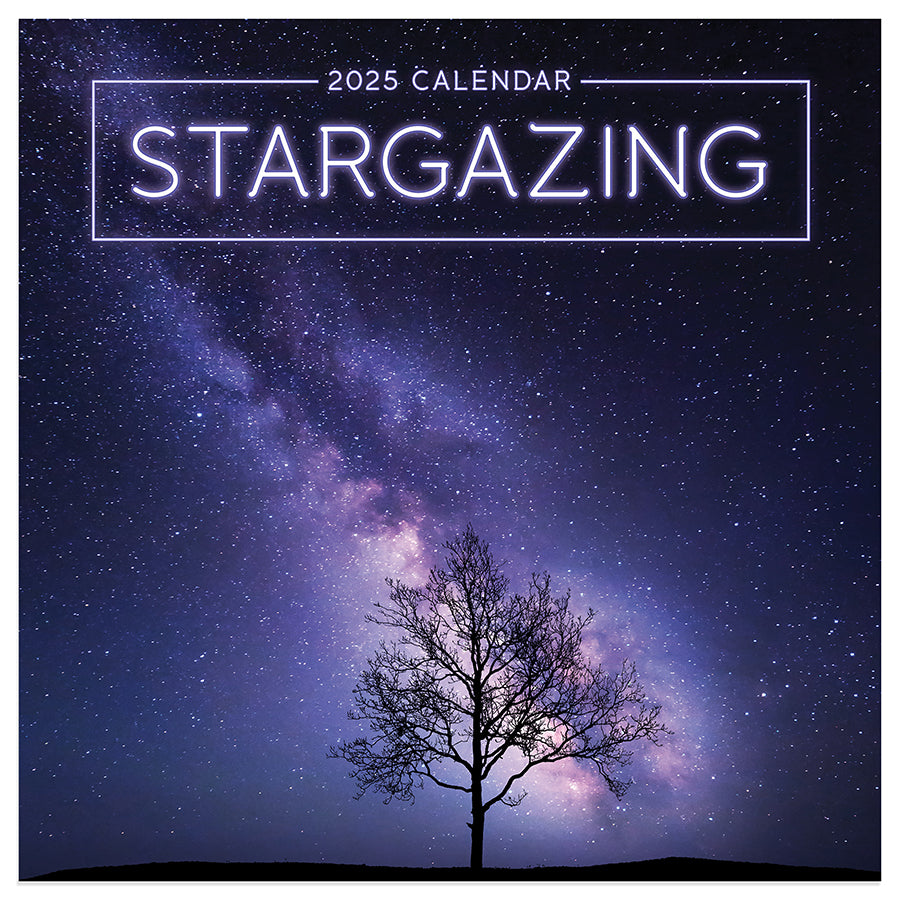 **FINAL SALE** 2025 Stargazing Mini Calendar