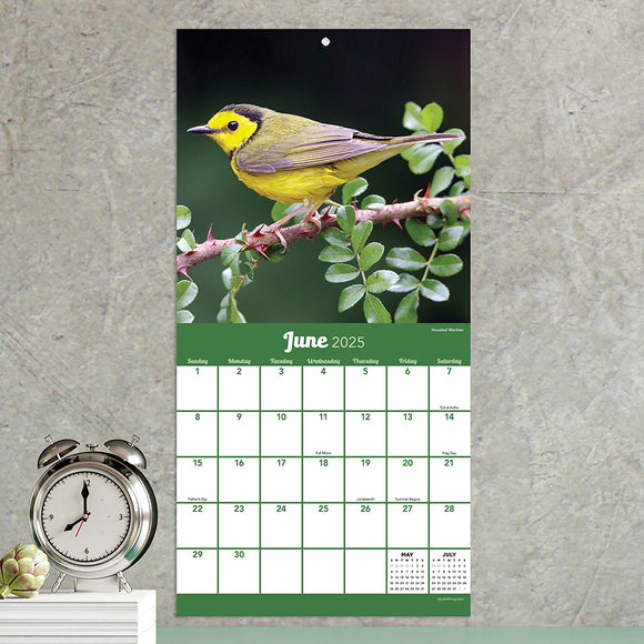 2025 Backyard Birds Mini Calendar TF Publishing Calendars