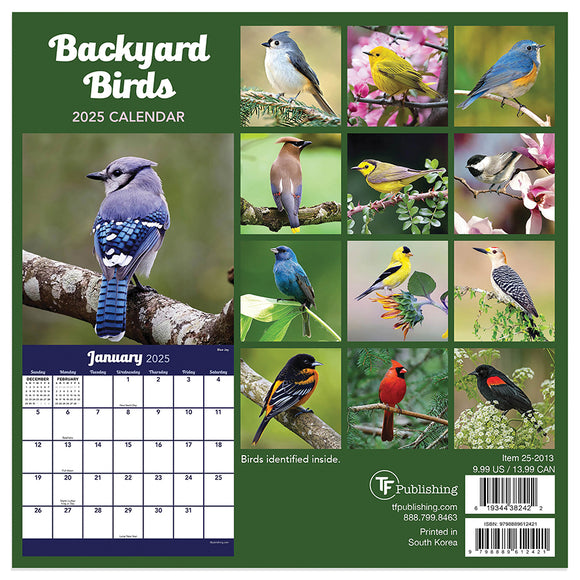 Backyard Birds Calendar 2025 Carma