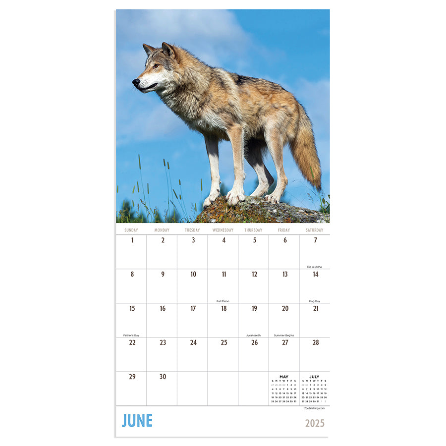 2025 Wolves Mini Calendar - 0