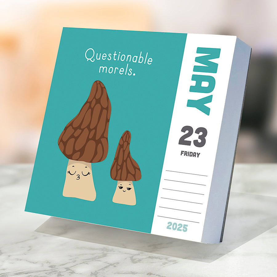 2025 Puns of Fun Daily Desktop Calendar