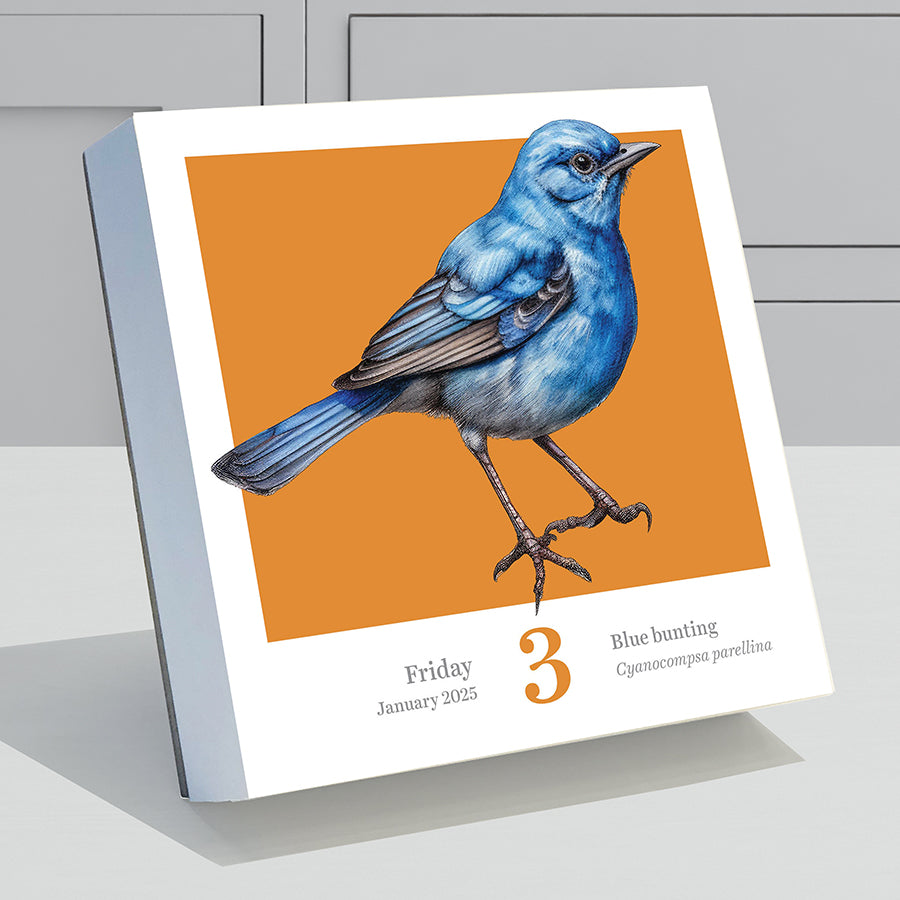 2025 Birds: Backyard & Beyond Daily Desktop Calendar - 0