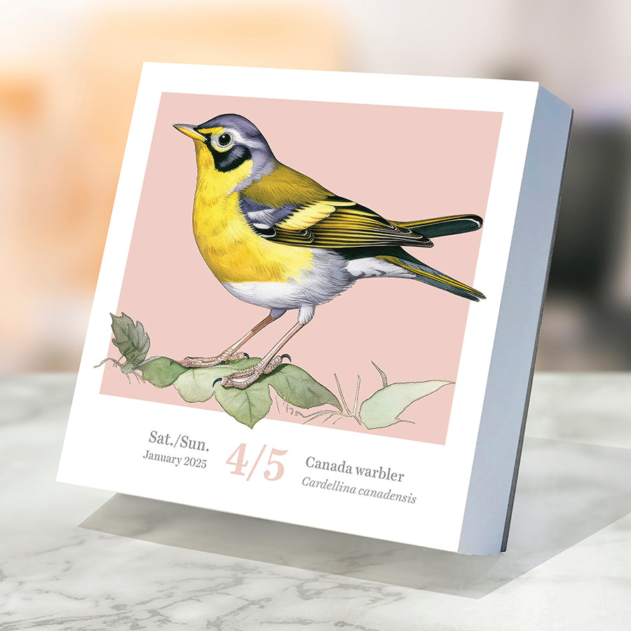 2025 Birds: Backyard & Beyond Daily Desktop Calendar