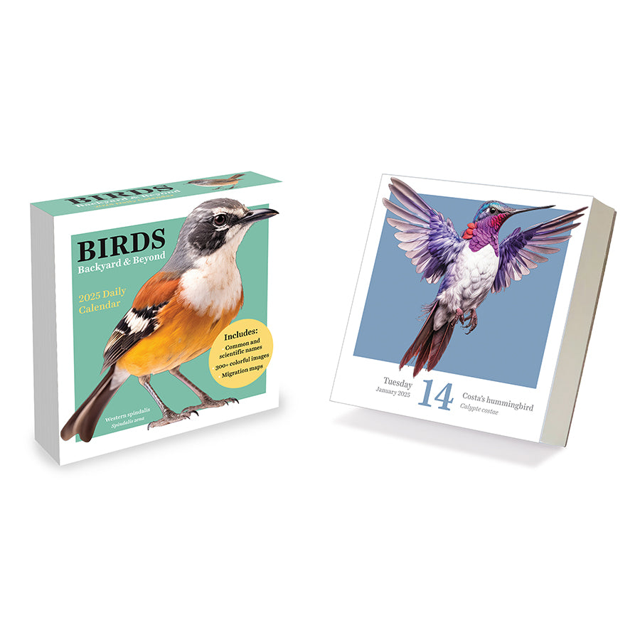 2025 Birds: Backyard & Beyond Daily Desktop Calendar