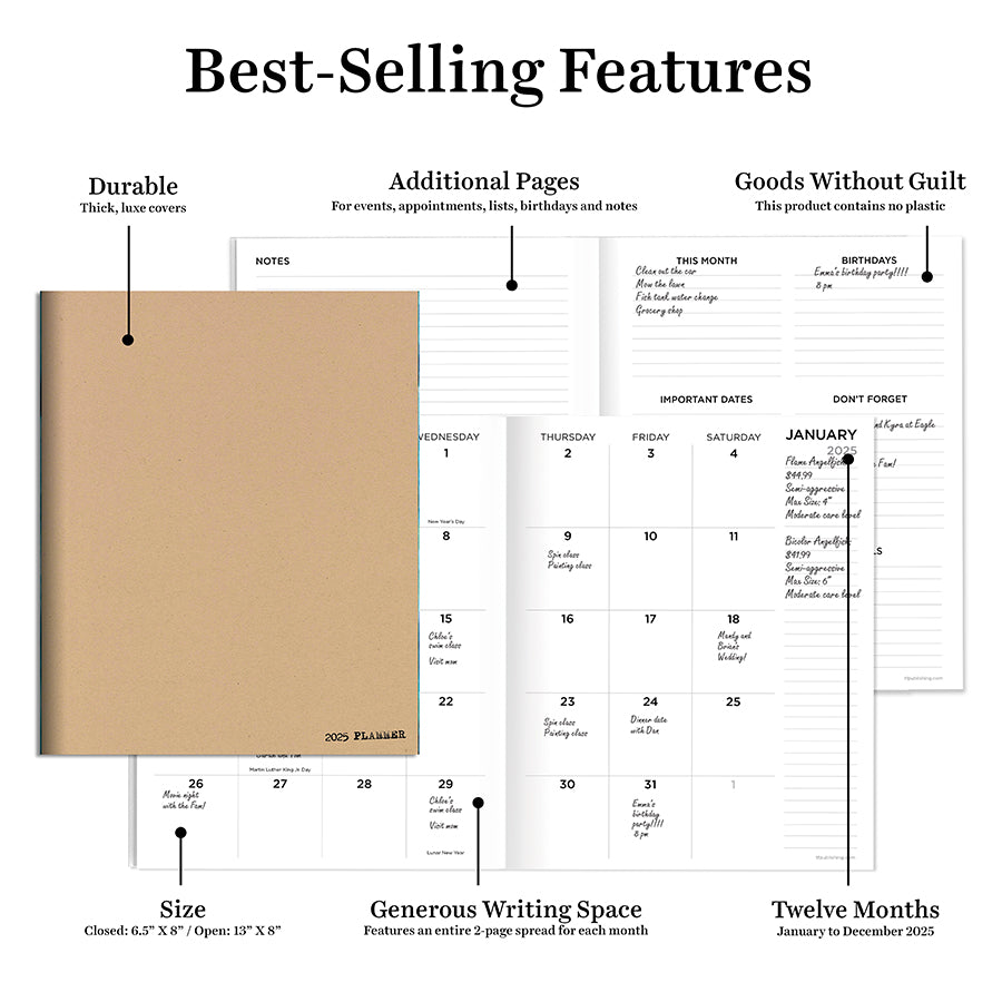 **FINAL SALE** 2025 Anything But Basic Kraft Medium Monthly Planner - 0