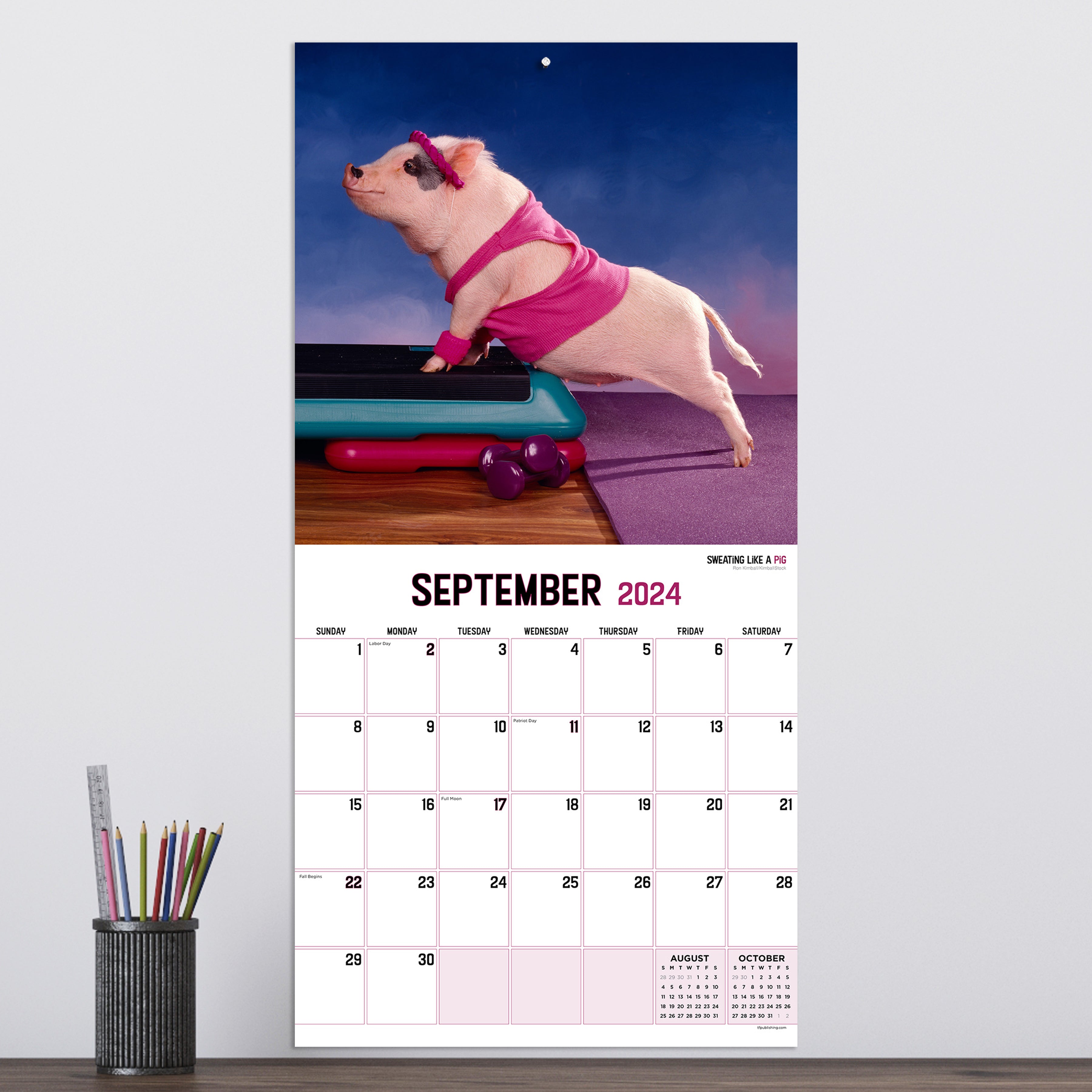 2024 Playful Pigs Wall Calendar TF Publishing Calendars + Planners