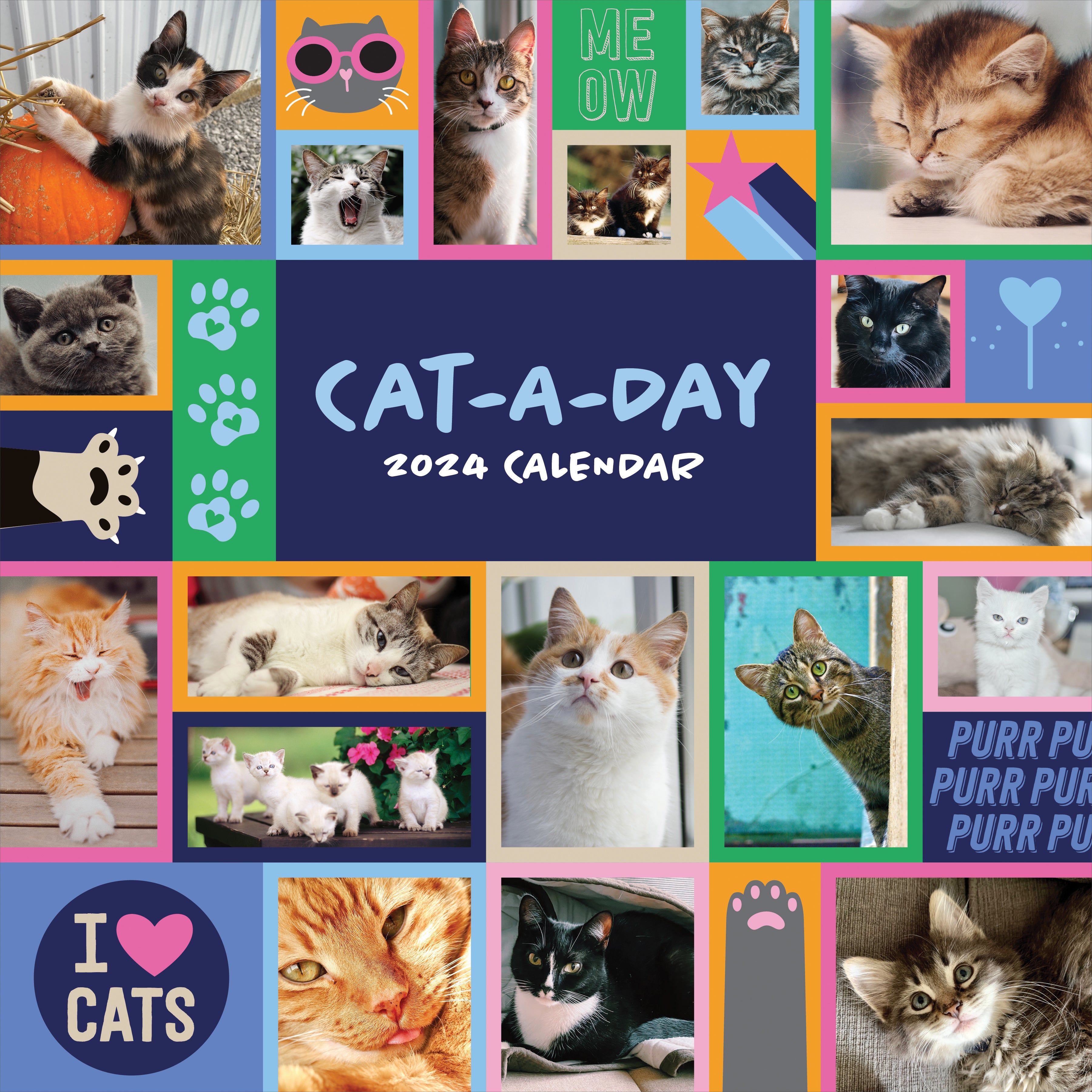 2024 Cats Wall Calendar - Yahoo Shopping