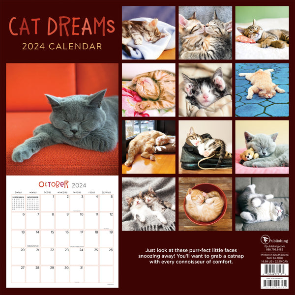 Cat Nap Undated Planner