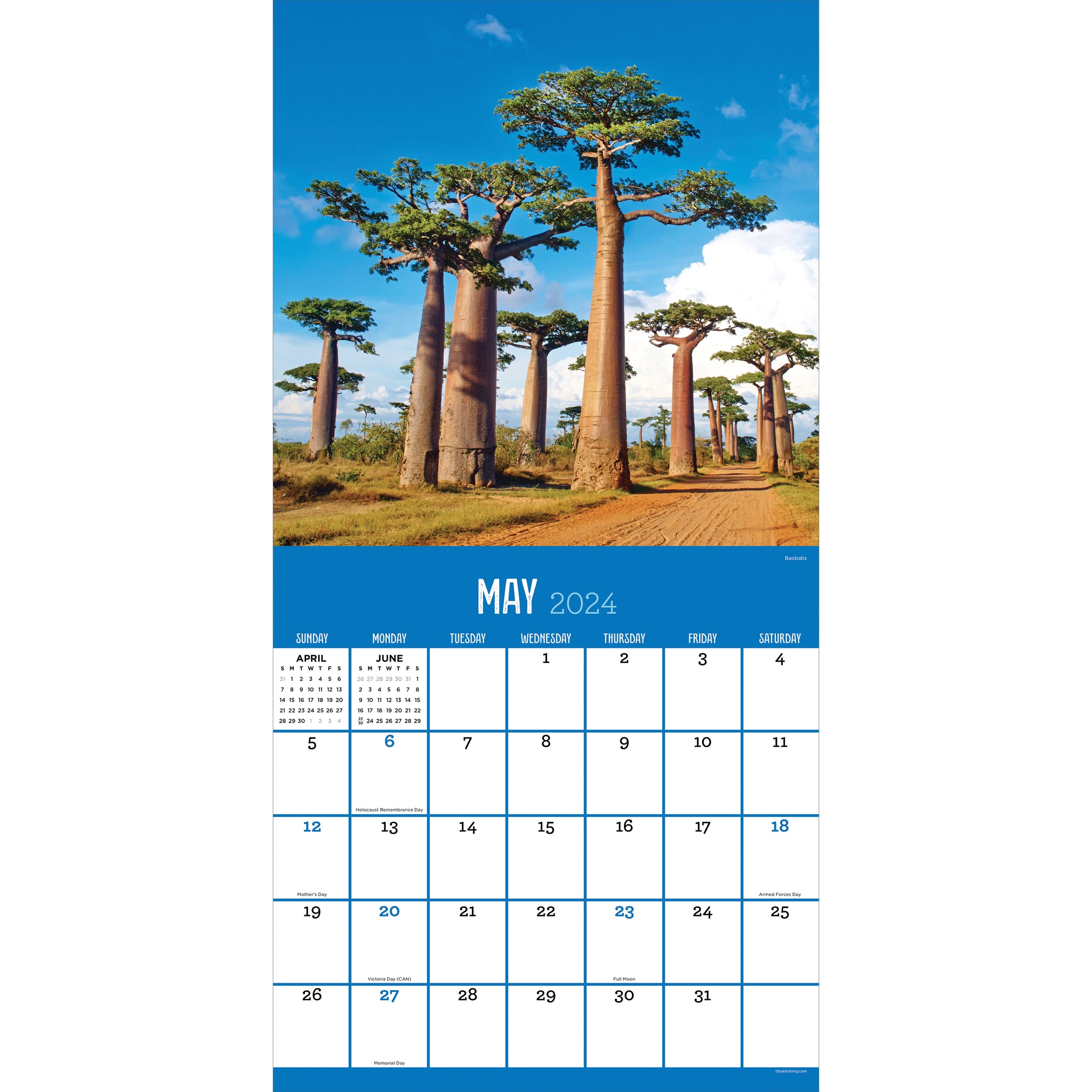 2024 Trees Wall Calendar TF Publishing Calendars + Planners