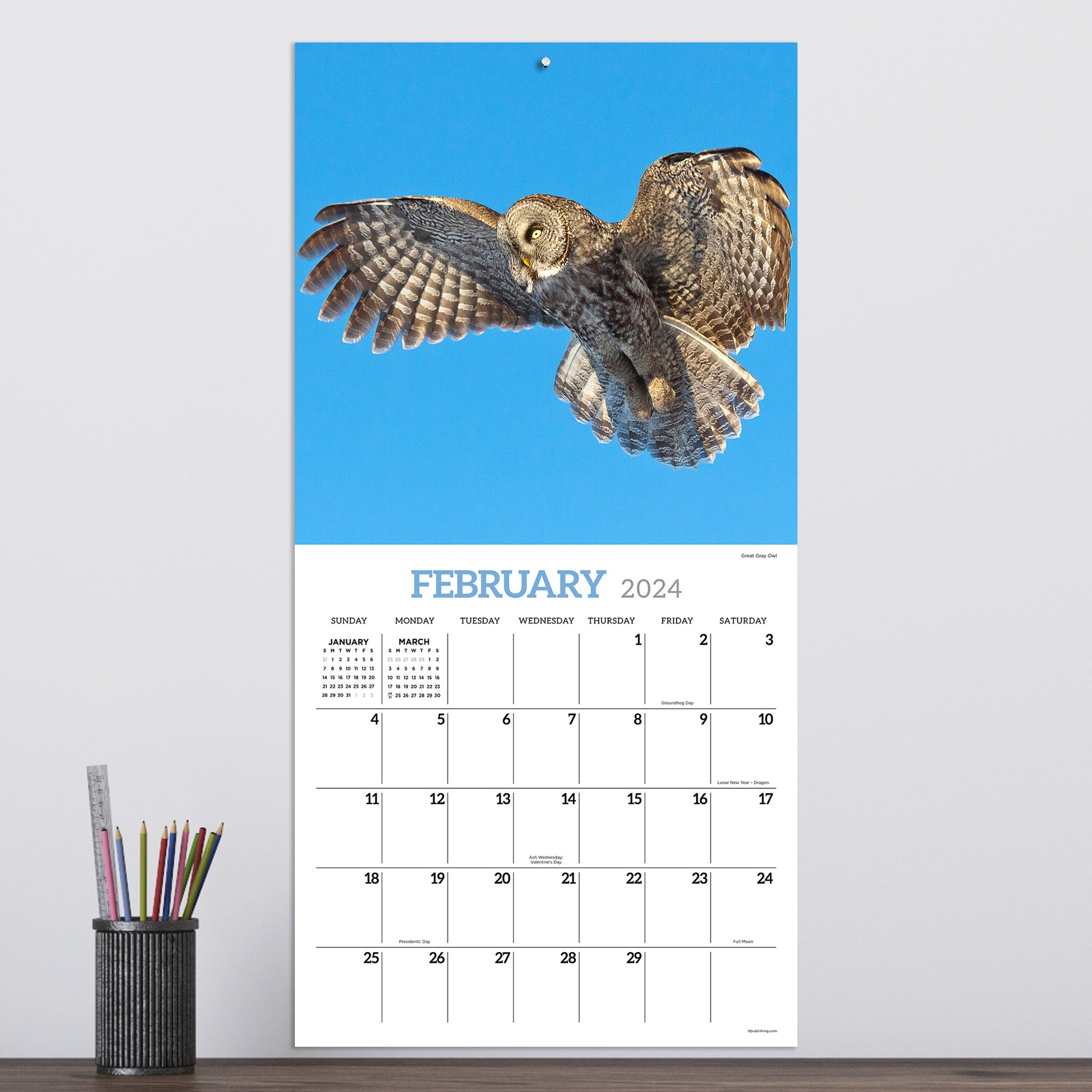 2024 Owls Wall Calendar TF Publishing Calendars + Planners