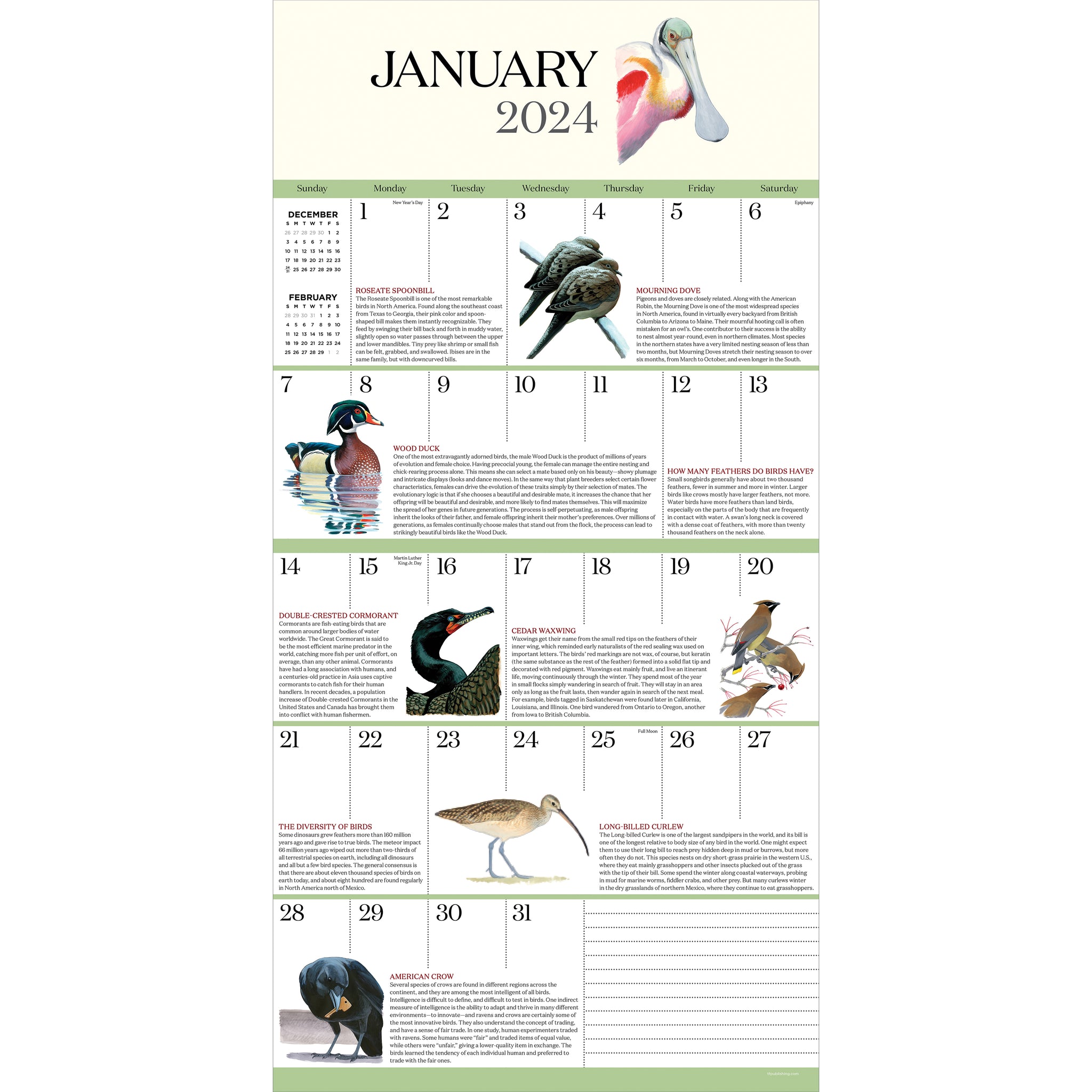 2024 What It's Like To Be A Bird Wall Calendar TF Publishing