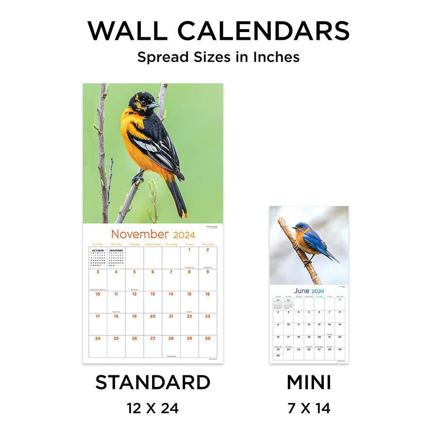BIRD LOVERS BIRD WATCHERS 2024 MINI MAGNETIC CALENDAR MONTHLY TEAR OFF  PAGES