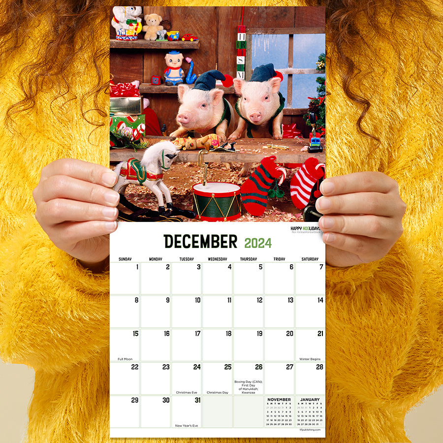 2024 Playful Pigs Mini Calendar TF Publishing Calendars + Planners